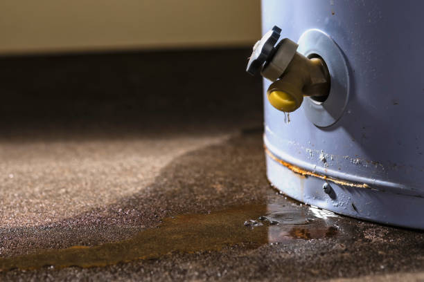 Carpet water damage restoration in IN