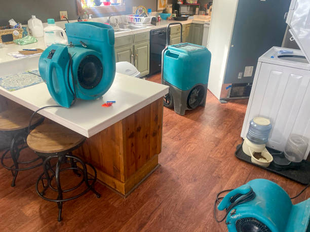 Best Water damage restoration near me  in Bourbon, IN
