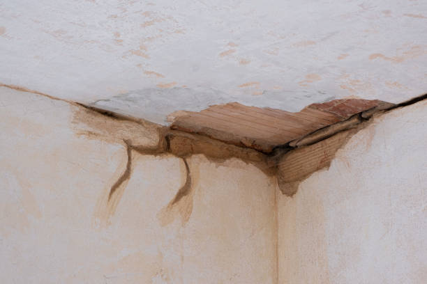 Best Mold removal after water damage  in Bourbon, IN