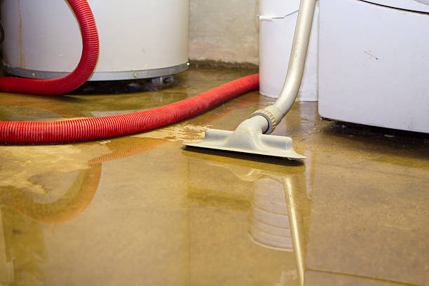 Best Professional water damage repair  in Bourbon, IN