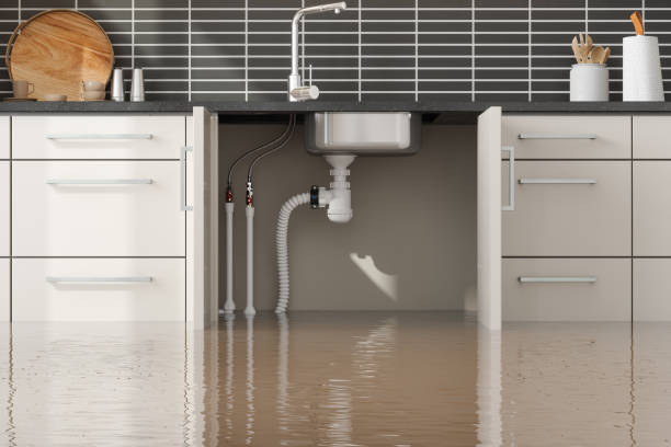 Best Water damage restoration near me  in Bourbon, IN