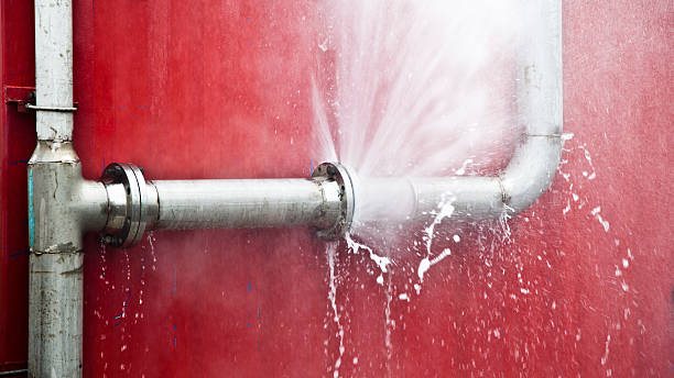 Best Flood damage cleanup  in Bourbon, IN